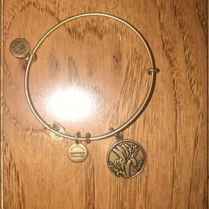 Alex and Ani